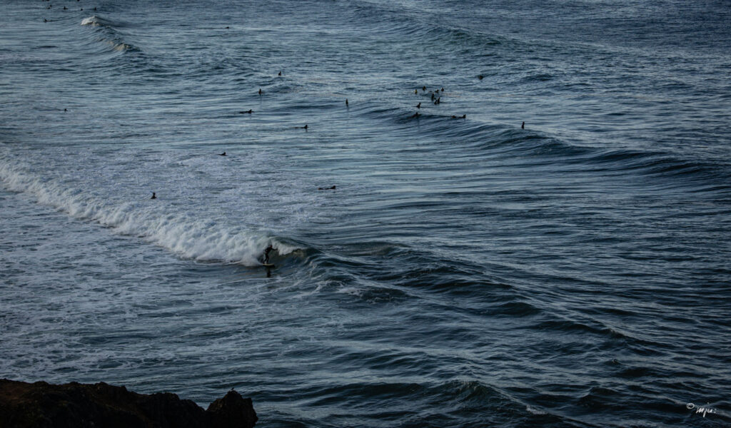 Surfing