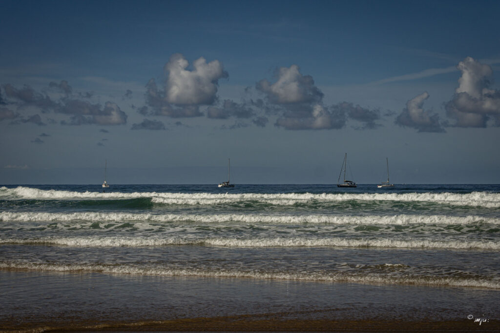 Waves