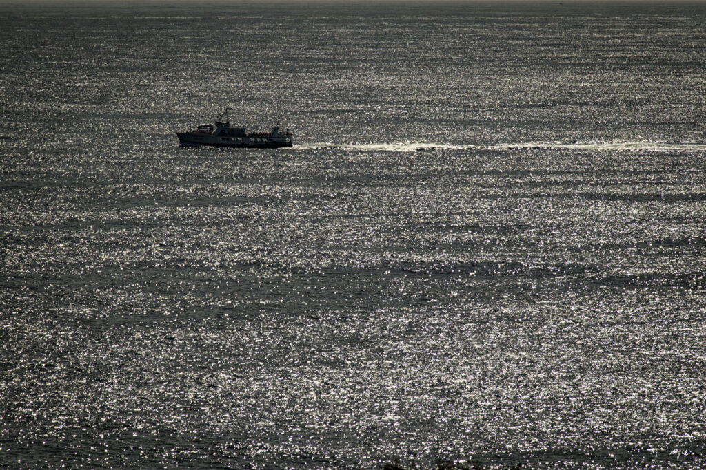 The ferry